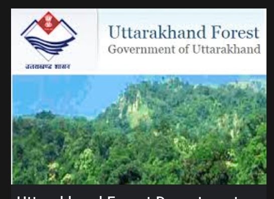 Uttarakhand forest