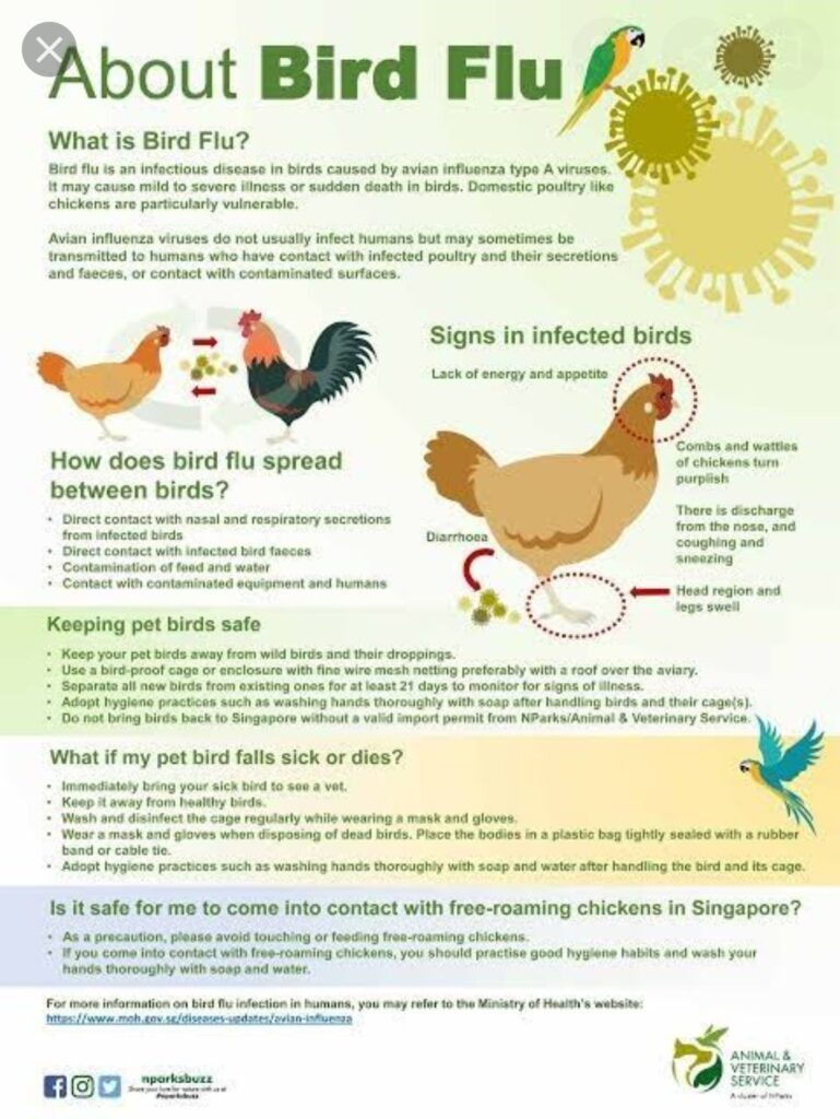 Bird flu, uttarakhand