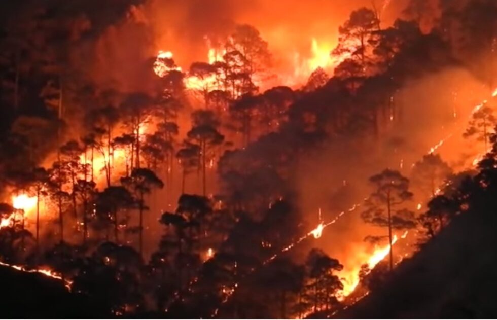 Forest fire uttarakhand 2021